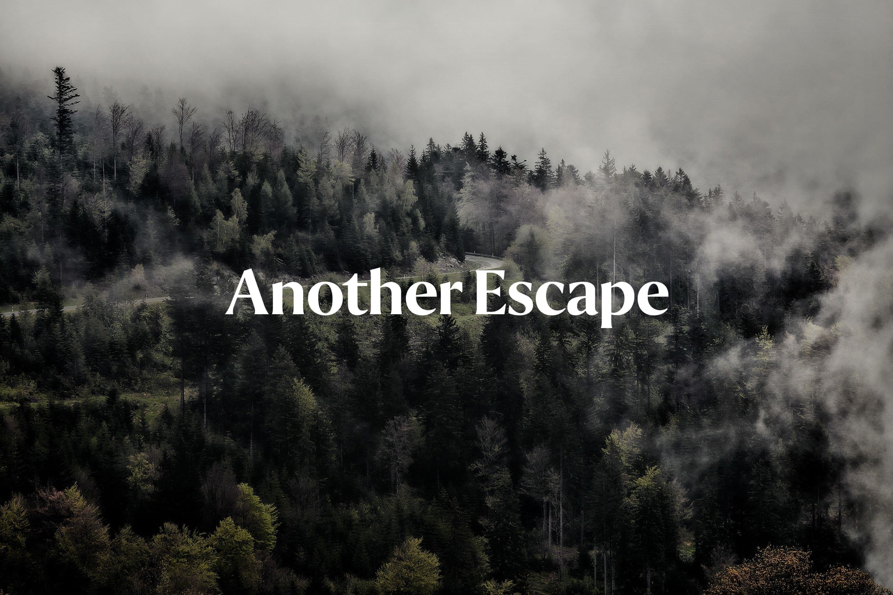Logo for outdoor lifestyle magazine Another Escape on an image of a forest