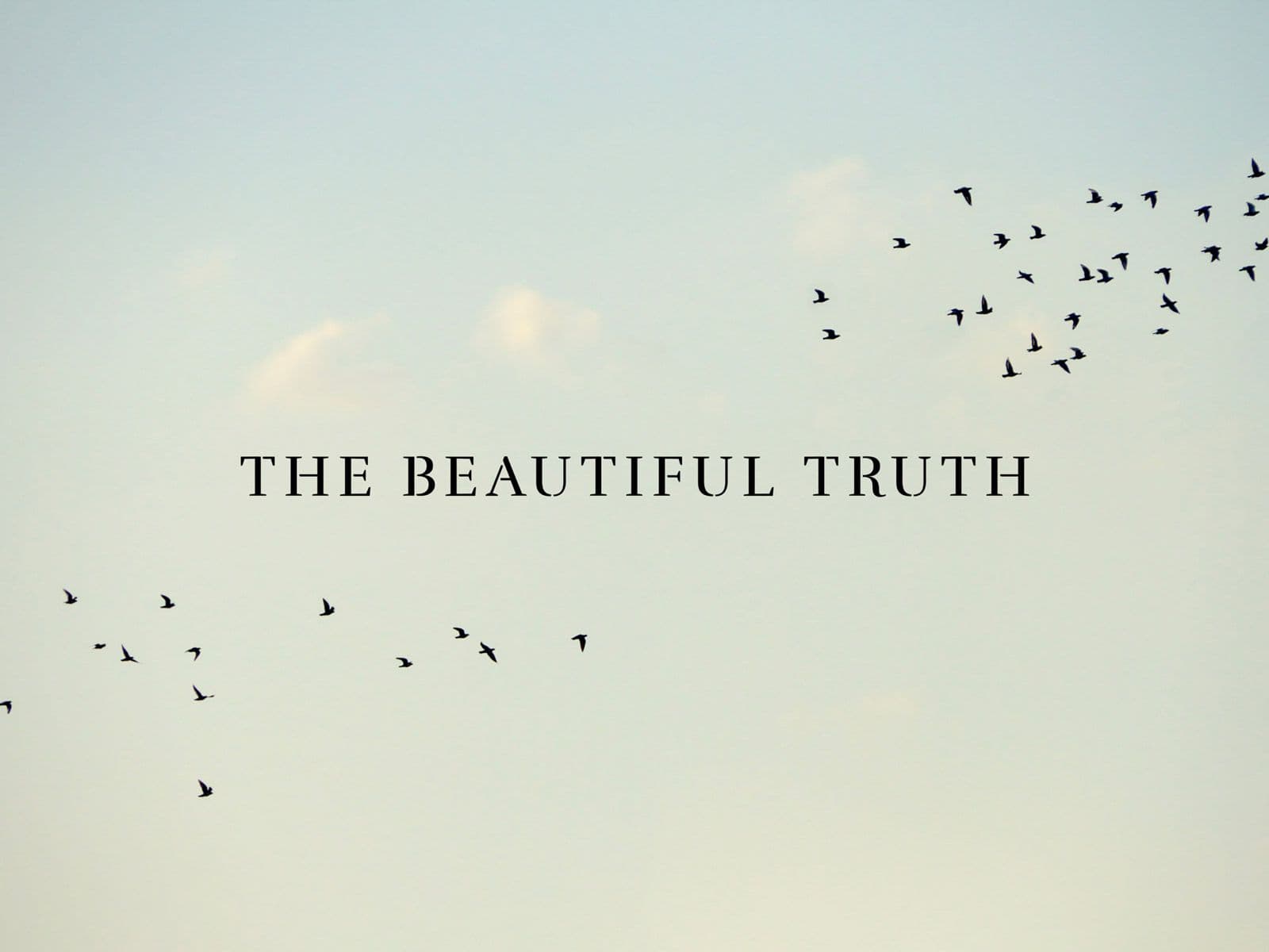 The Beautiful Truth